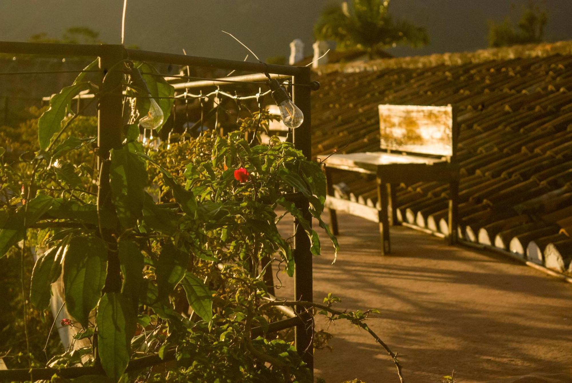 Tzunun Hostel Antigua Ngoại thất bức ảnh